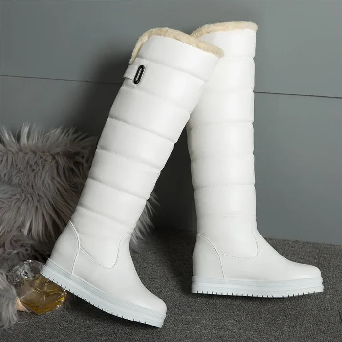 Bota de Frio 2024