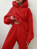 Conjunto Moletom Feminino De Frio - Ela na Moda